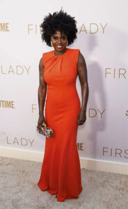 Soft-natural-kibbe-viola-davis